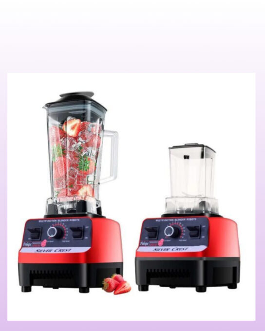 Mixeur Commercial Smoothie J